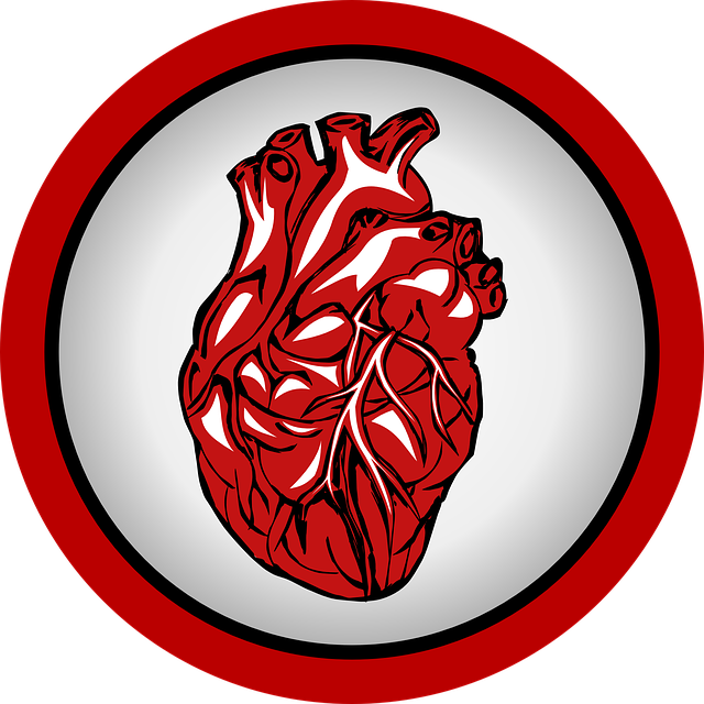 septum ventricular