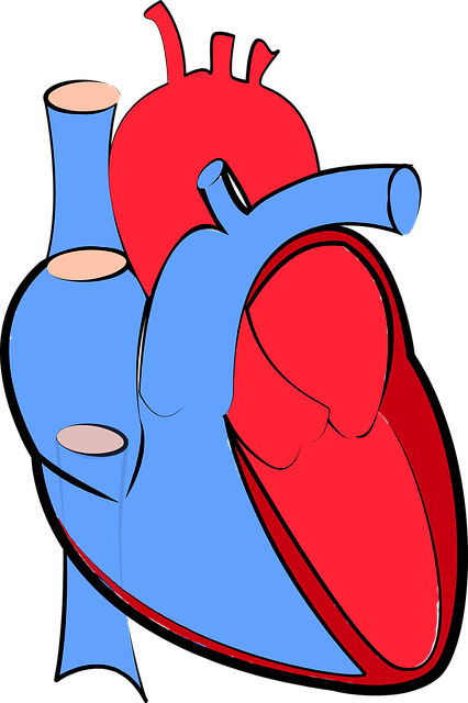 atrial septal defect