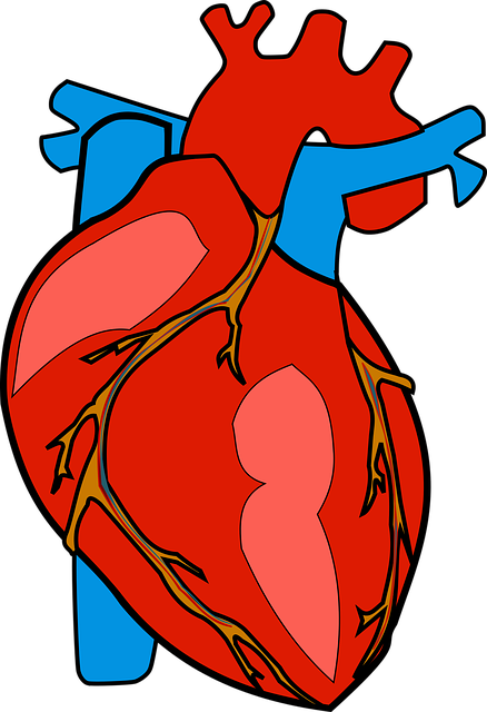 ventricular septal defect