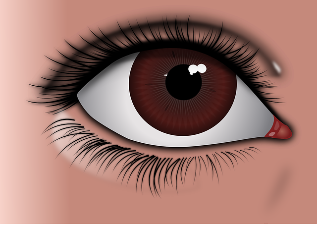 eye, brown eye, brown