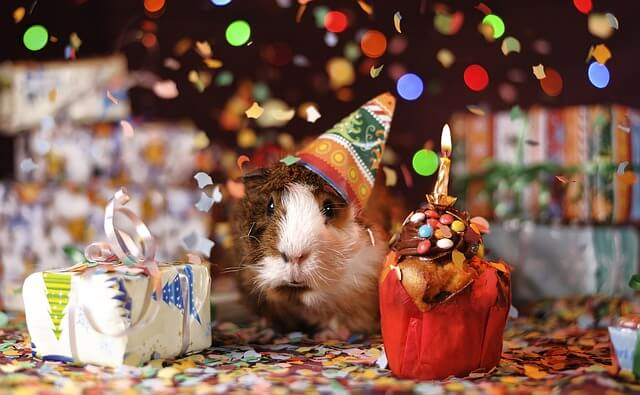 birthday wishes, wonderful birthday