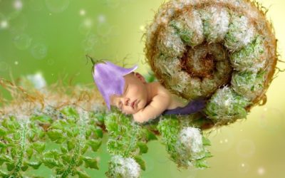 Newborn To Baby – A Guide To Be A Pro Parent